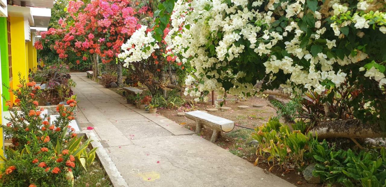Balai Felicisima Bed & Breakfast Puerto Princesa Екстериор снимка
